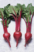 compounds in beets beat blood pressure